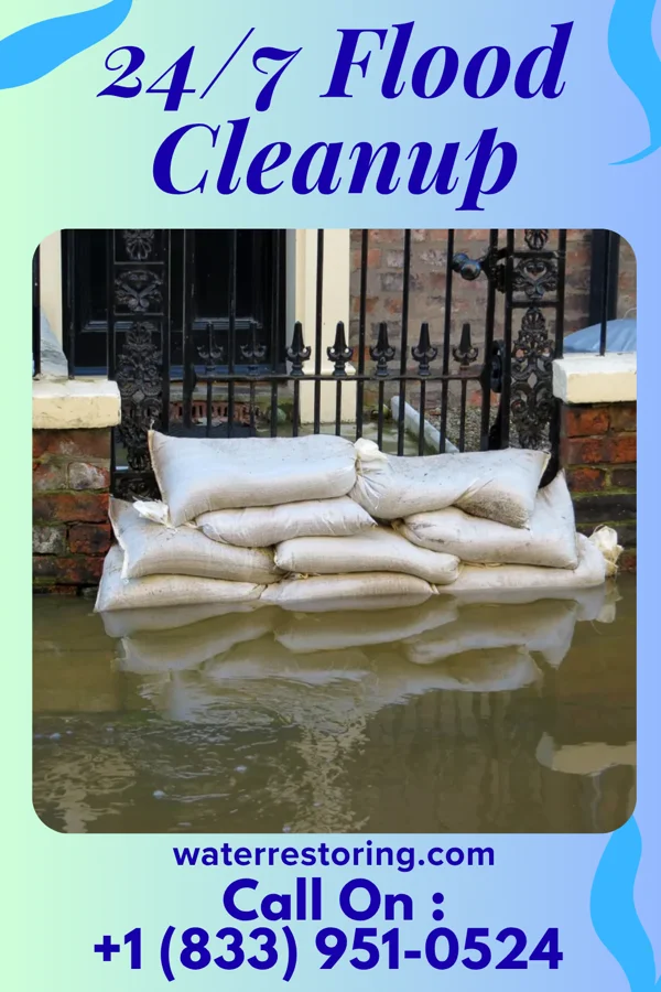 24/7 Flood Cleanup in Newbury, KS