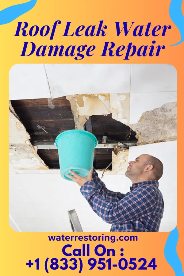 Roof Leak Water Damage Repair in Newbury, KS