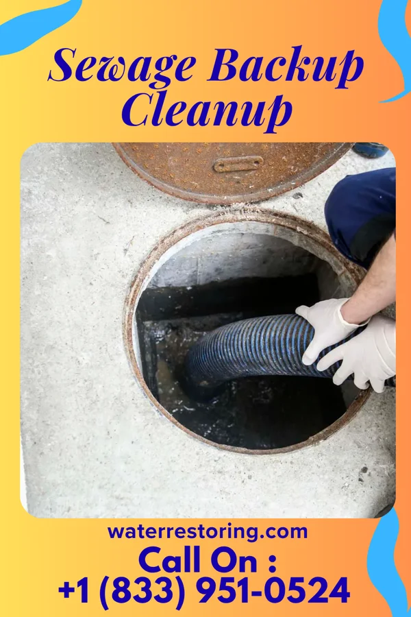 Sewage Backup Cleanup in Newbury, KS
